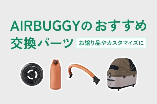 メンテナンス | エアバギー公式オンラインストア[AIRBUGGY Official