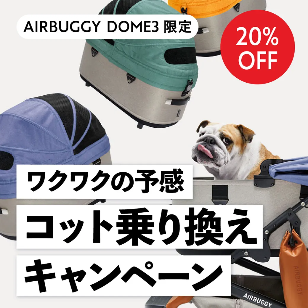 コット乗り換えキャンペーン