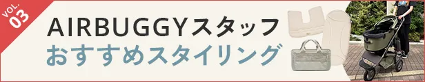 おすすめスタイリング