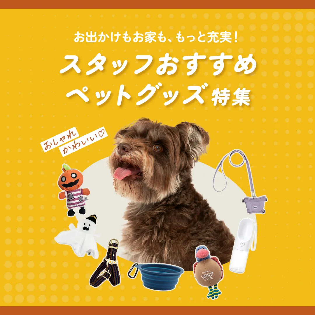 おすすめペットグッズ