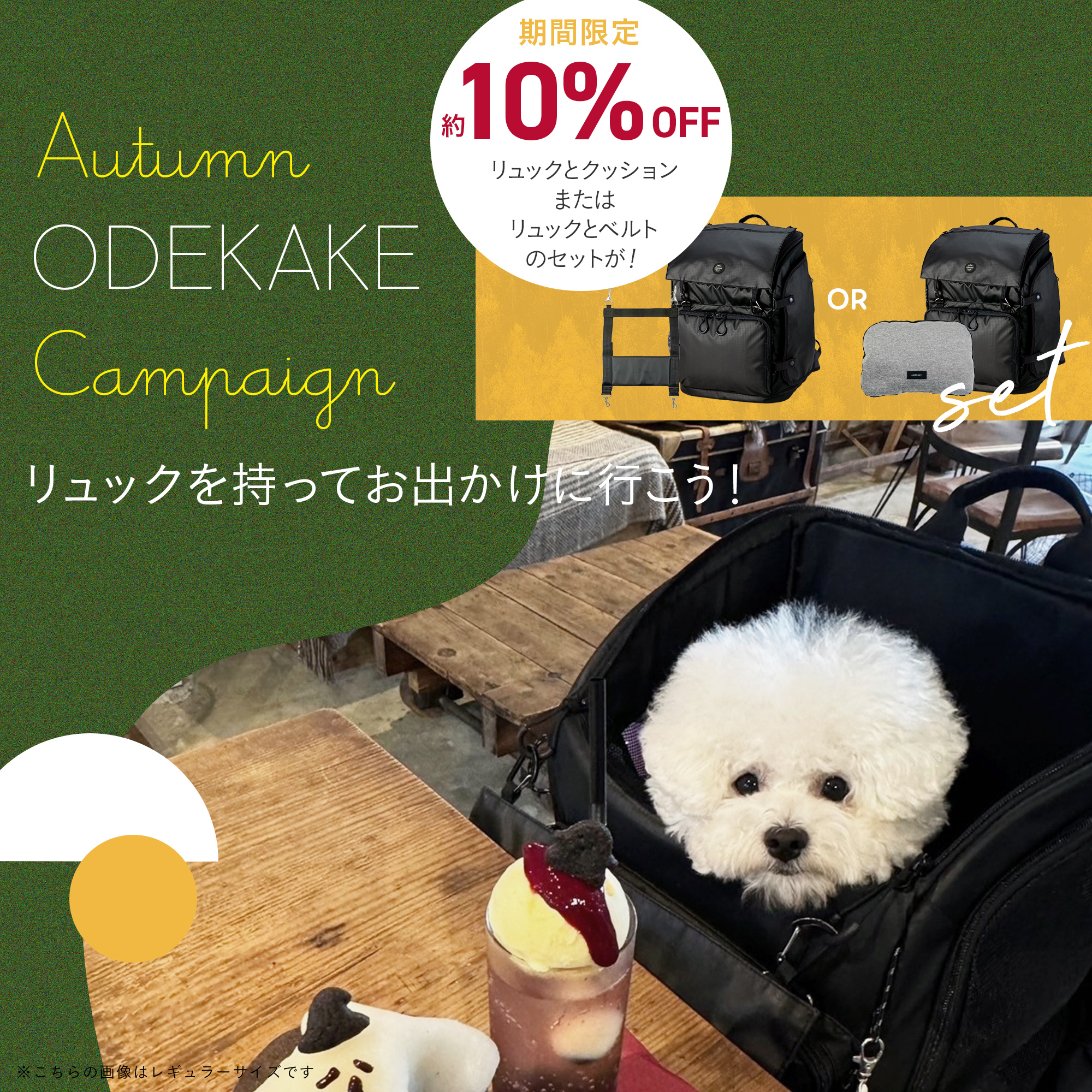 3ウェイバックパック 10%OFF SALE　秋のお出かけキャンペーン