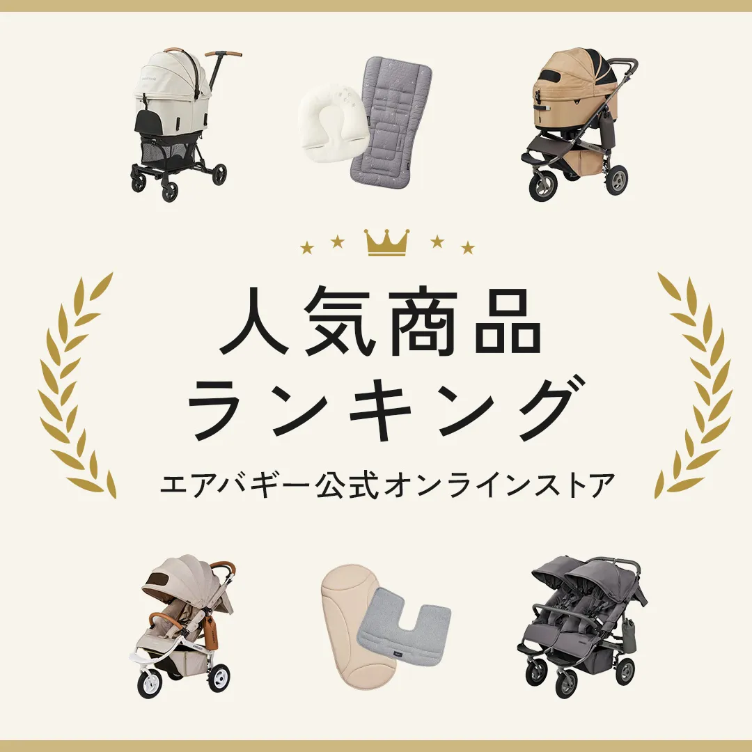 人気ランキング