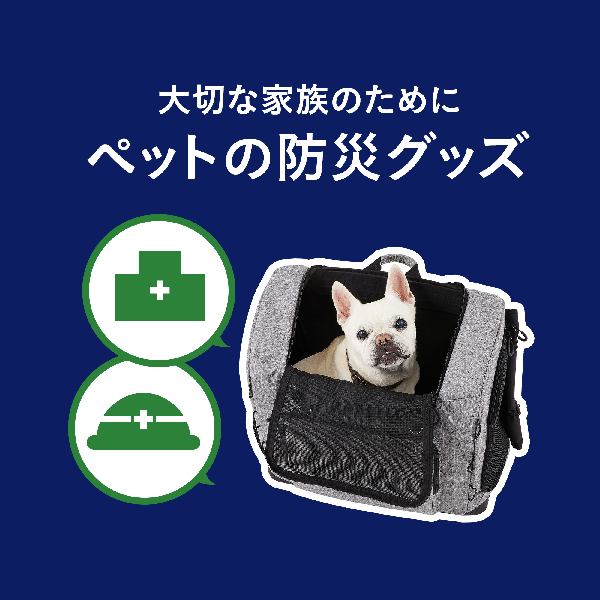 ペットの防災用品特集