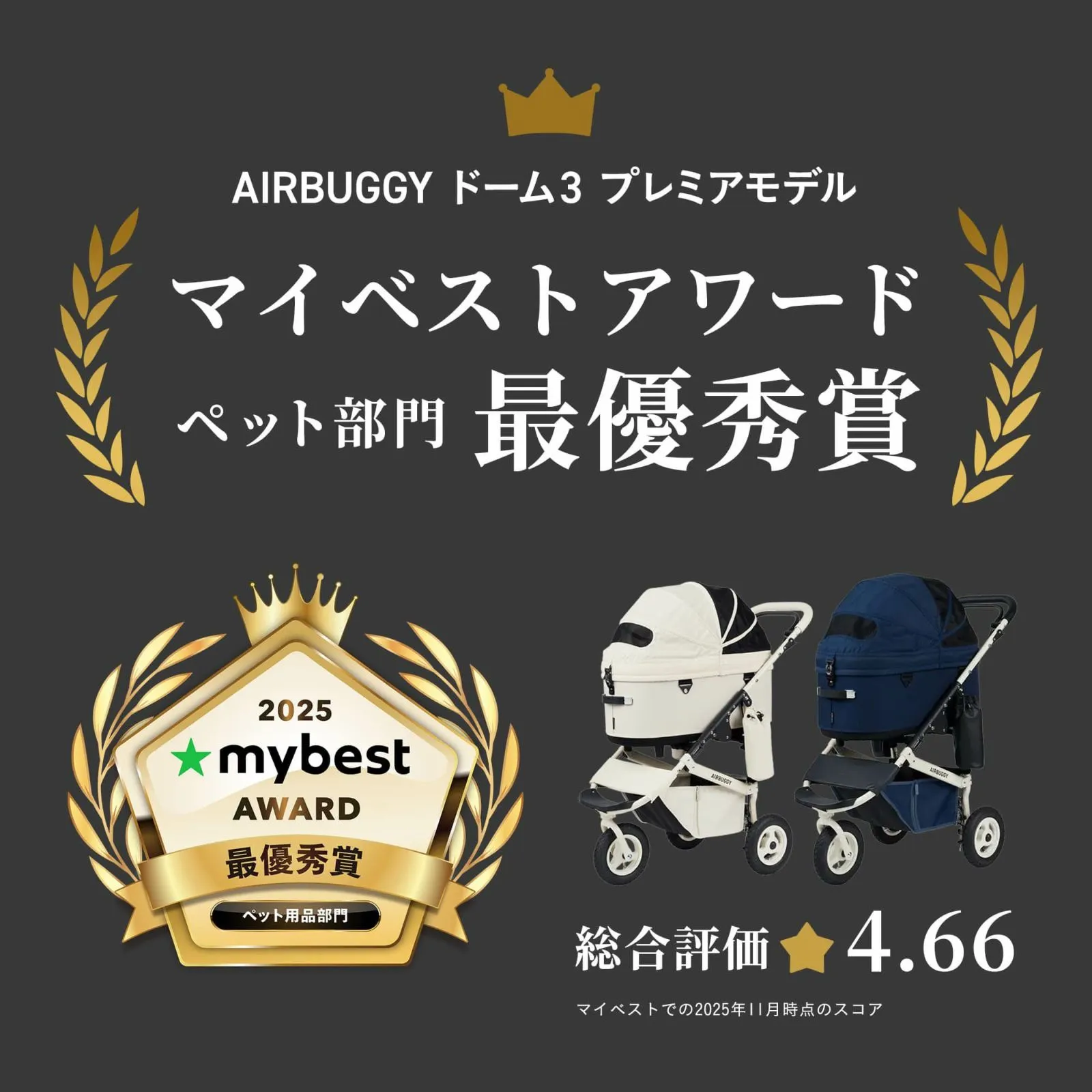 エアバギー DOME3 クルーズライン