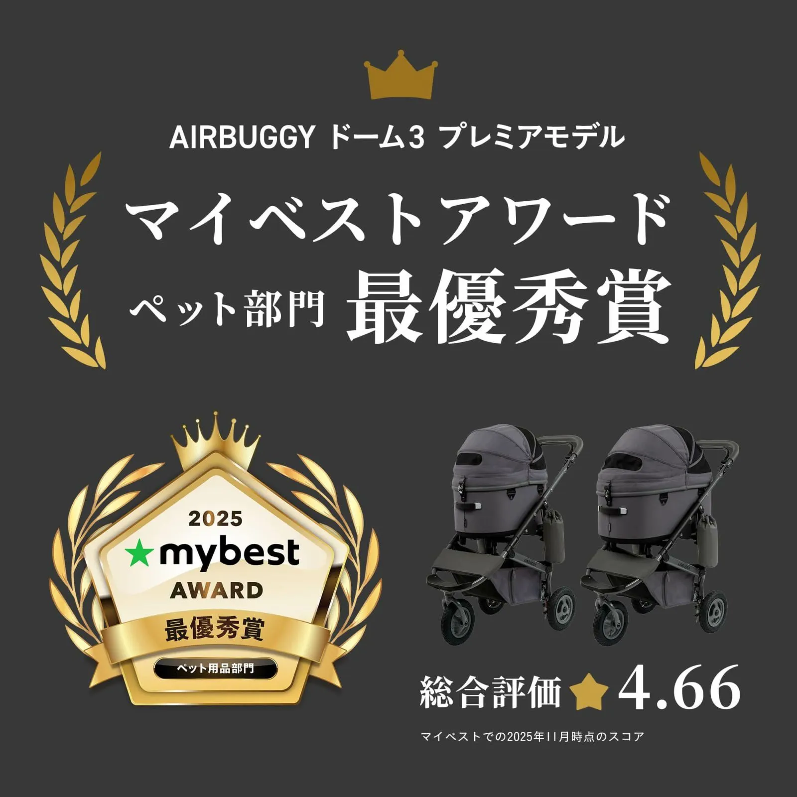 エアバギー DOME3 ディムグレー