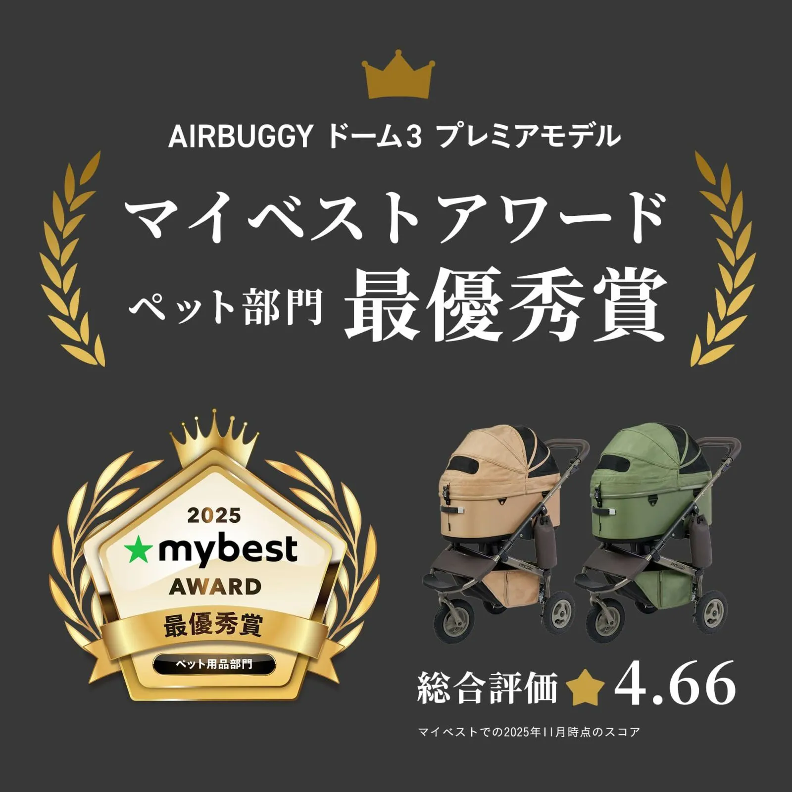 エアバギー DOME3 プレミア