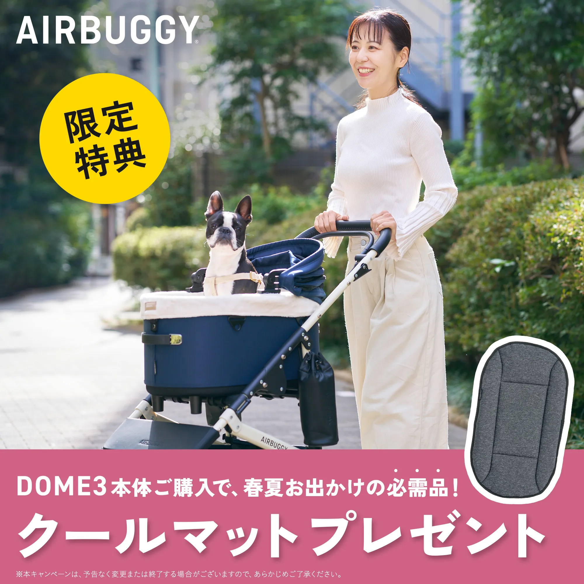 ドーム3ご購入特典プレゼント