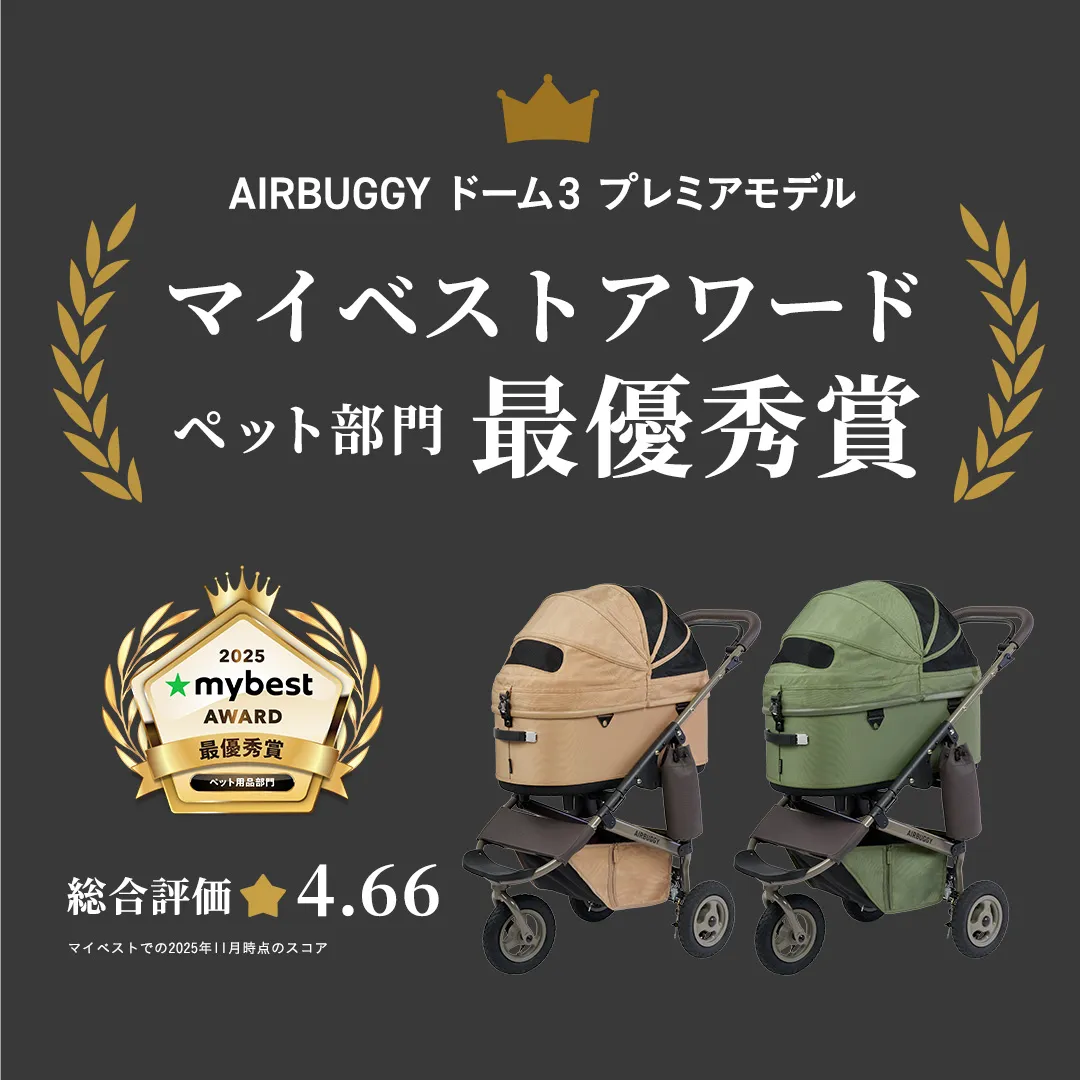 マイベストアワード