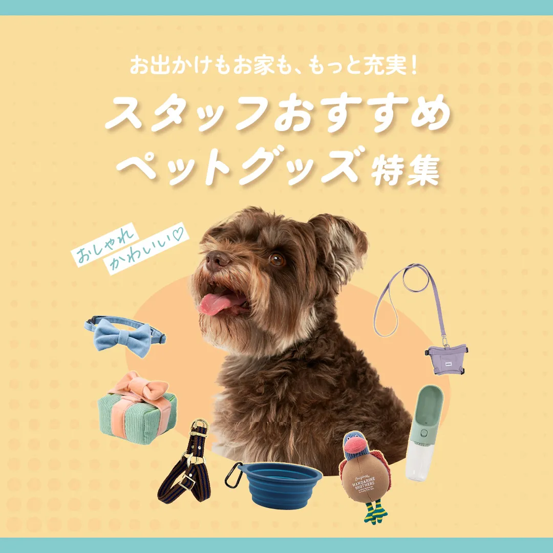 おすすめのペットグッズ
