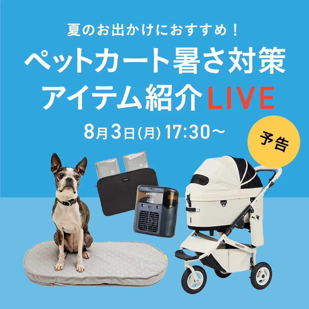 ペット夏の暑さ対策LIVEコマース