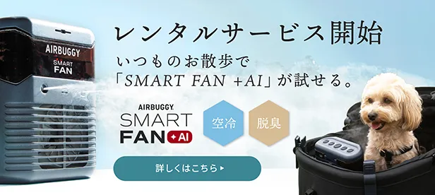 スマートファンレンタルサービス
